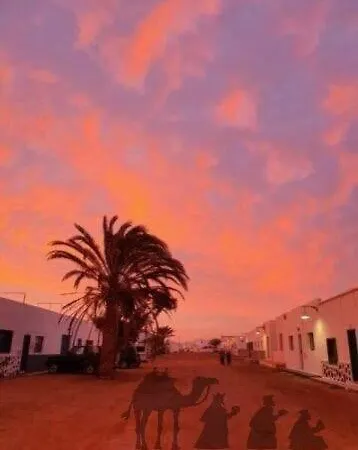 El Erizo Daire